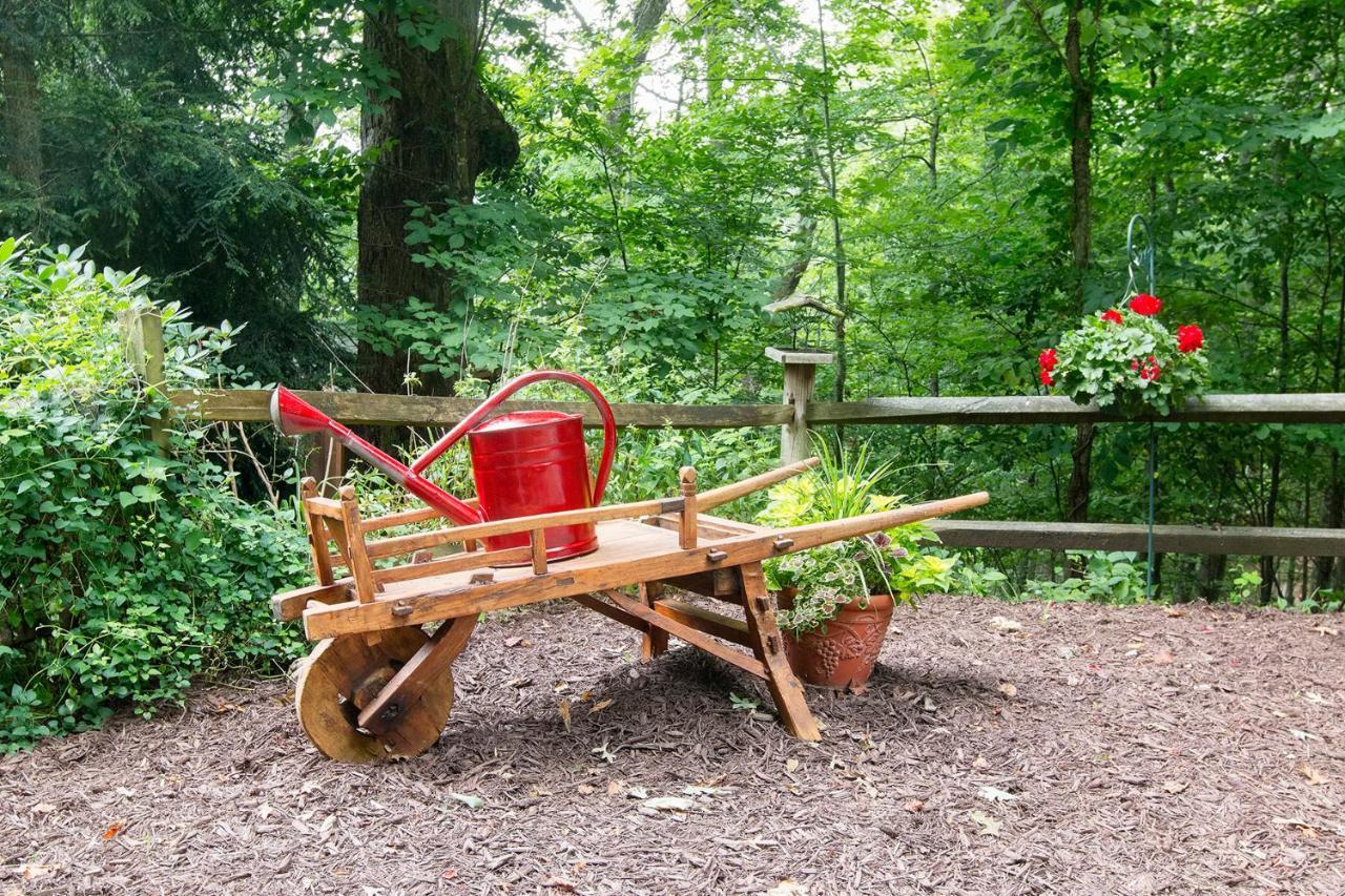 Lazy Bear Lodge Valle Crucis Zewnętrze zdjęcie